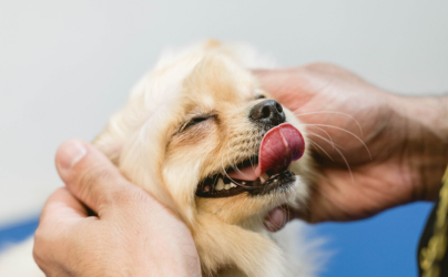 Spa Treatments